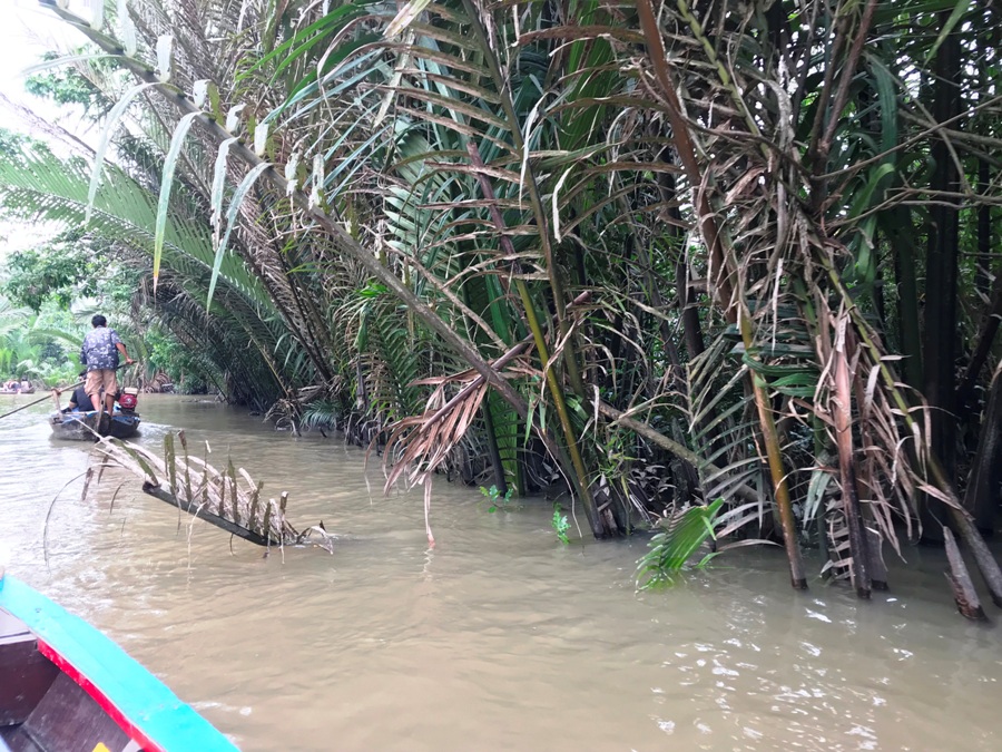 Vietnam Il delta del Mekong
