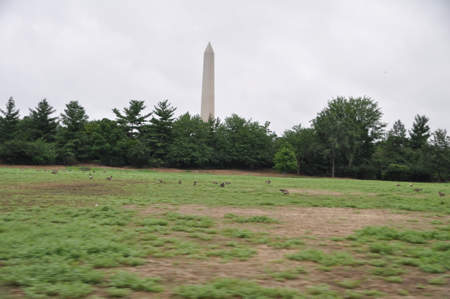 Washington Monument