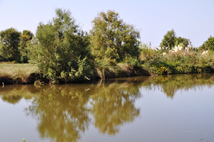Camargue Canali a Saintes Maries de la Mer