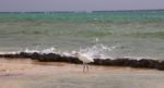 Marsa Alam