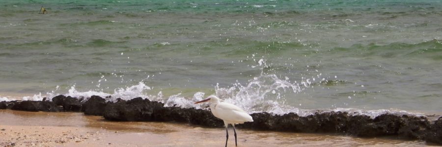 Marsa Alam