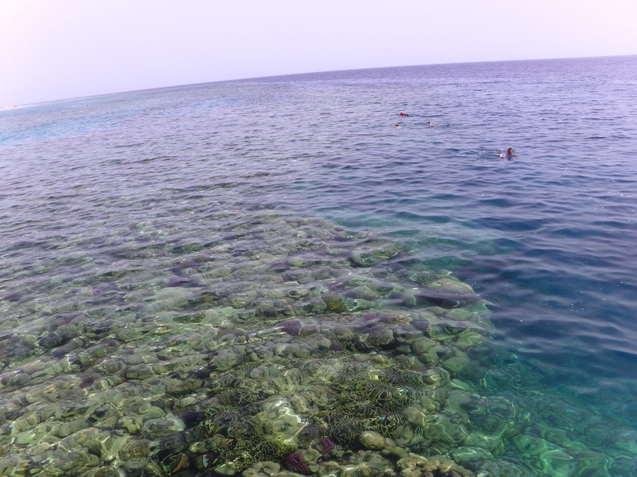 Marsa Alam Barriera Corallina