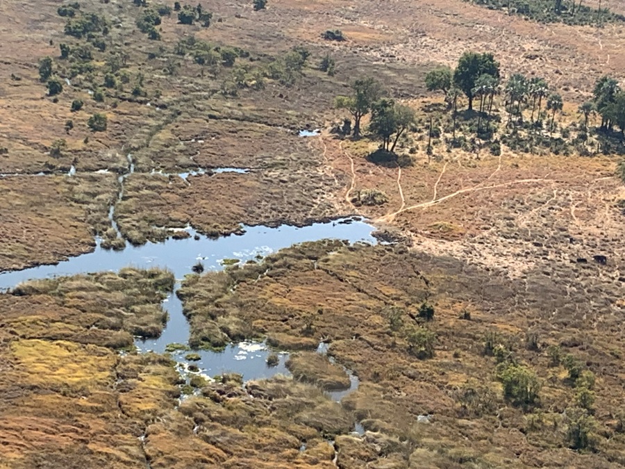 Botswana Delta dell'Okavango