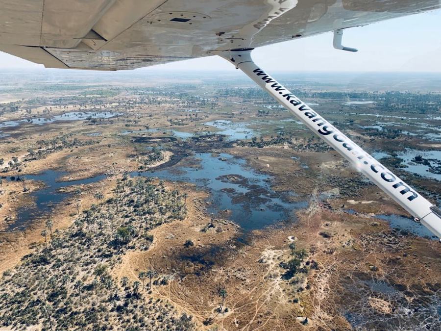 Okavango dall'aereo