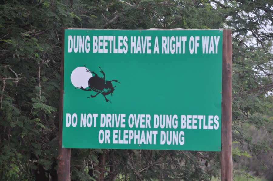 Kruger National Park Cartello