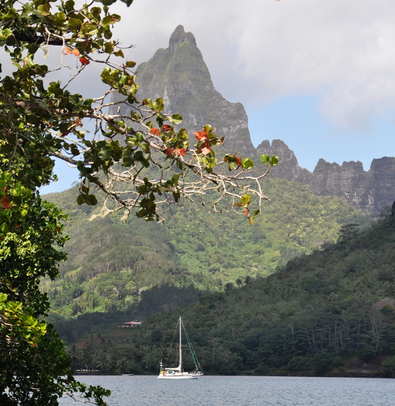 La baia di Opunohu