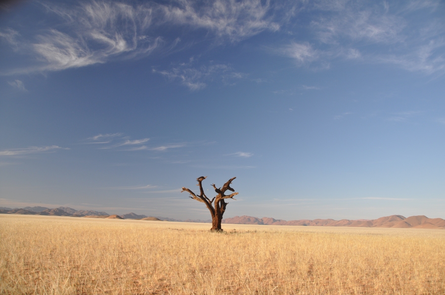 Distese infinite in Namibia