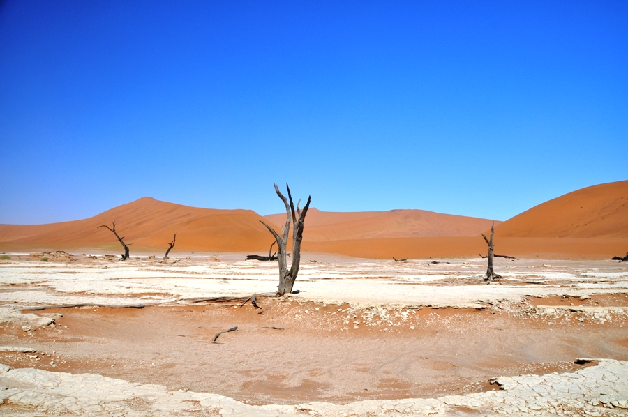 Sossusvlei Deadvlei