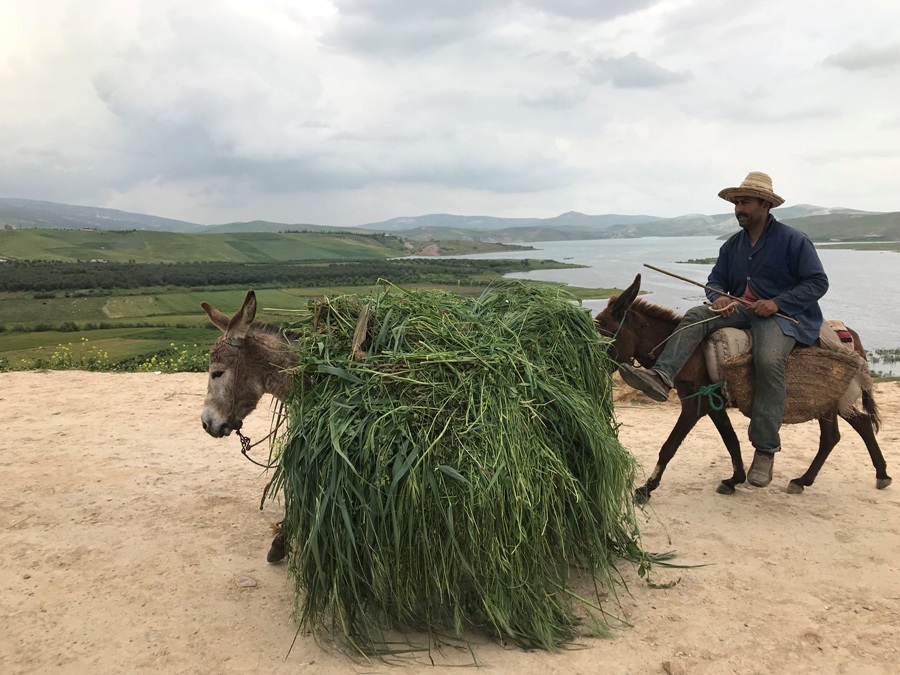 Itinerario di viaggio in Marocco On the road