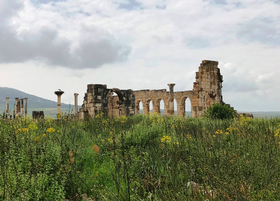 Itinerario di viaggio in Marocco Volubilis