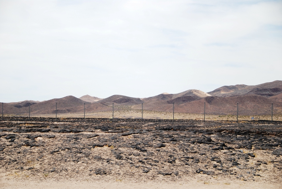il Deserto del Mojave