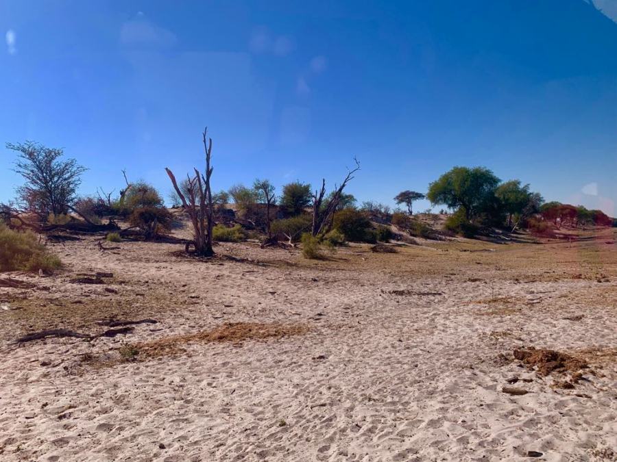 Makgadikgadi National Park 