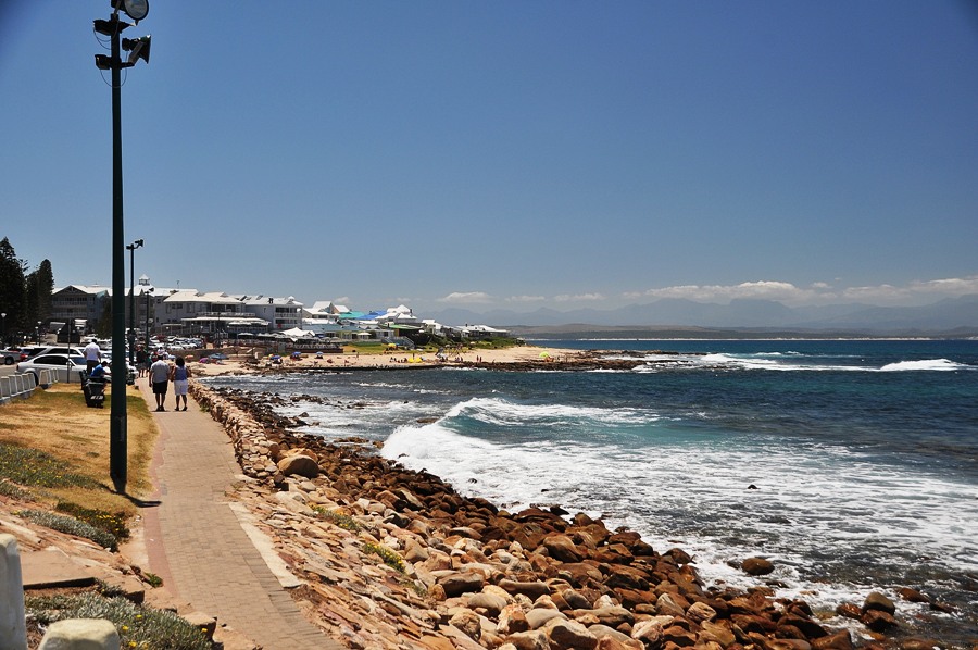 On the road Sud Africa Hermanus