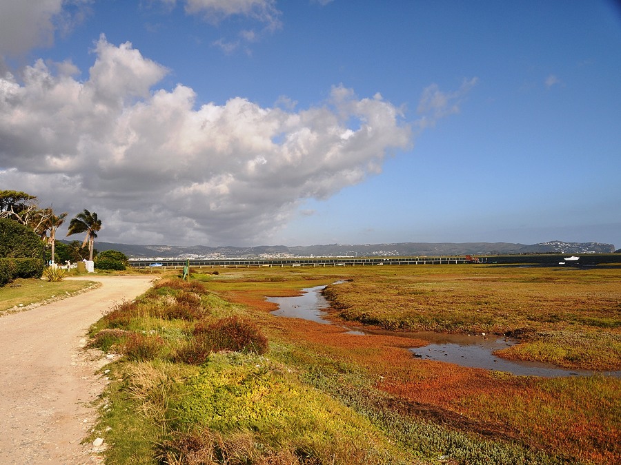 On the road Sud Africa Panorama nei pressi di Knysna