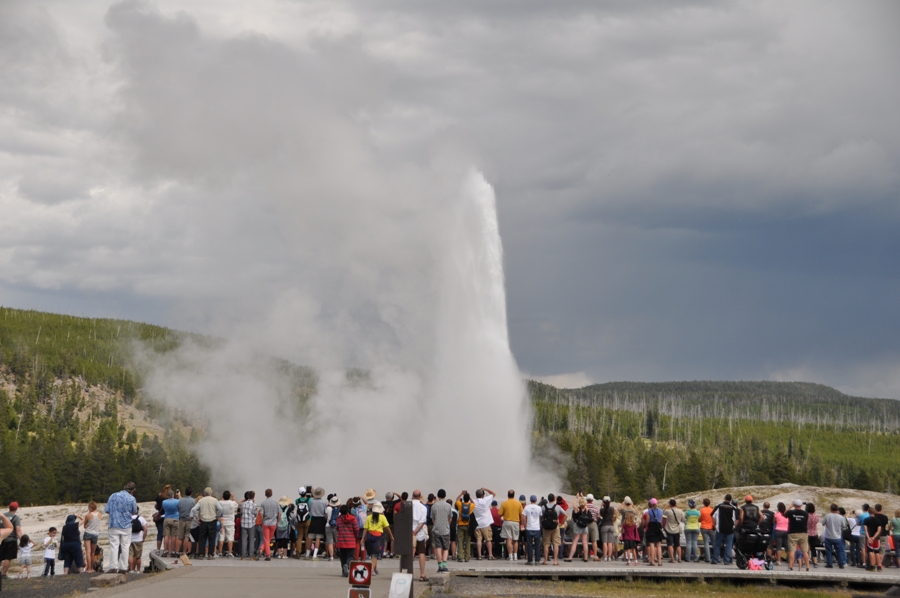 Old Faithful Geyser a Yellowstone
