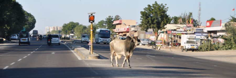 Guidare in india