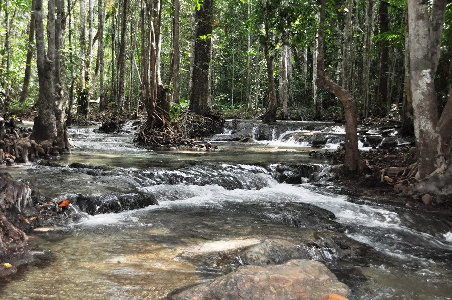 Krabi Hot Springs