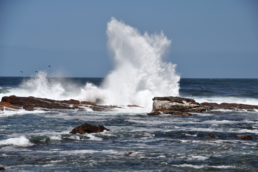 La costa a Capo di Buona Speranza