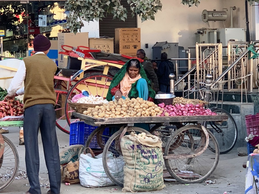 Mercato a Udaipur