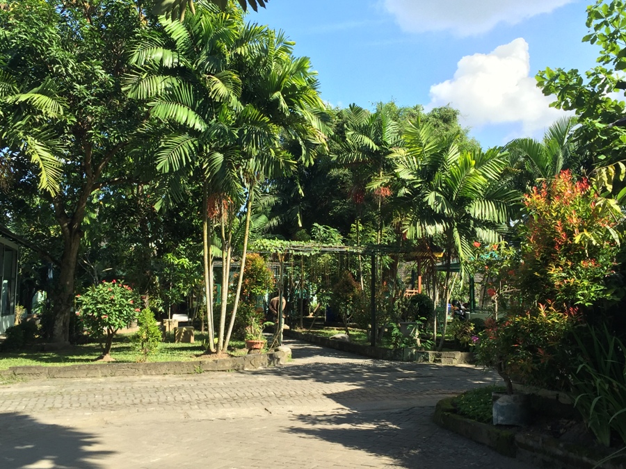 Orto botanico