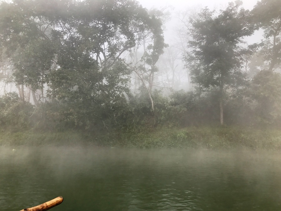 cosa fare nel Parco Nazionale di Chitwan