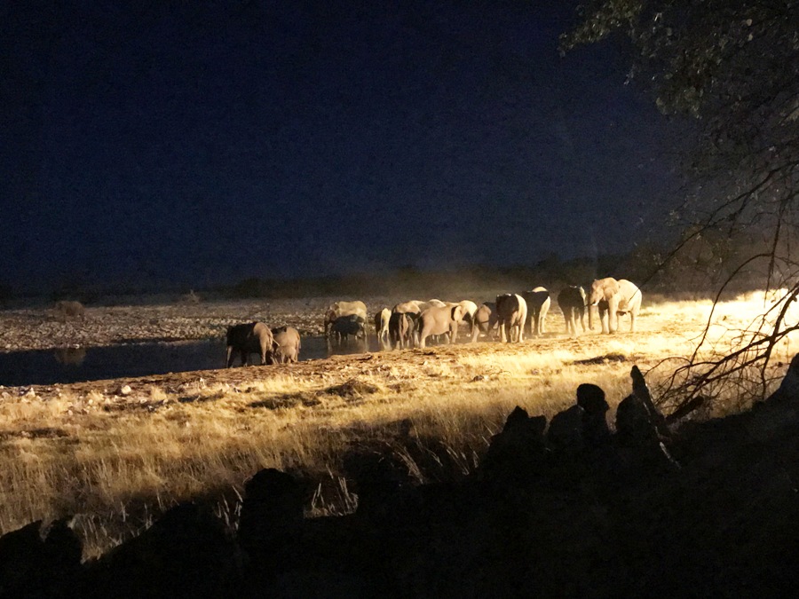 Etosha La pozza dell'Okaukeujo di notte