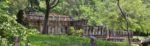 Cosa vedere a Polonnaruwa