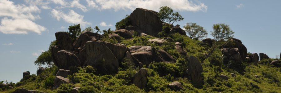 Grande migrazione in Tanzania