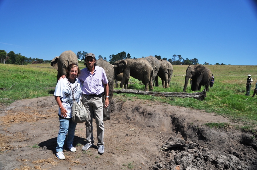 Knysna Elephant Park