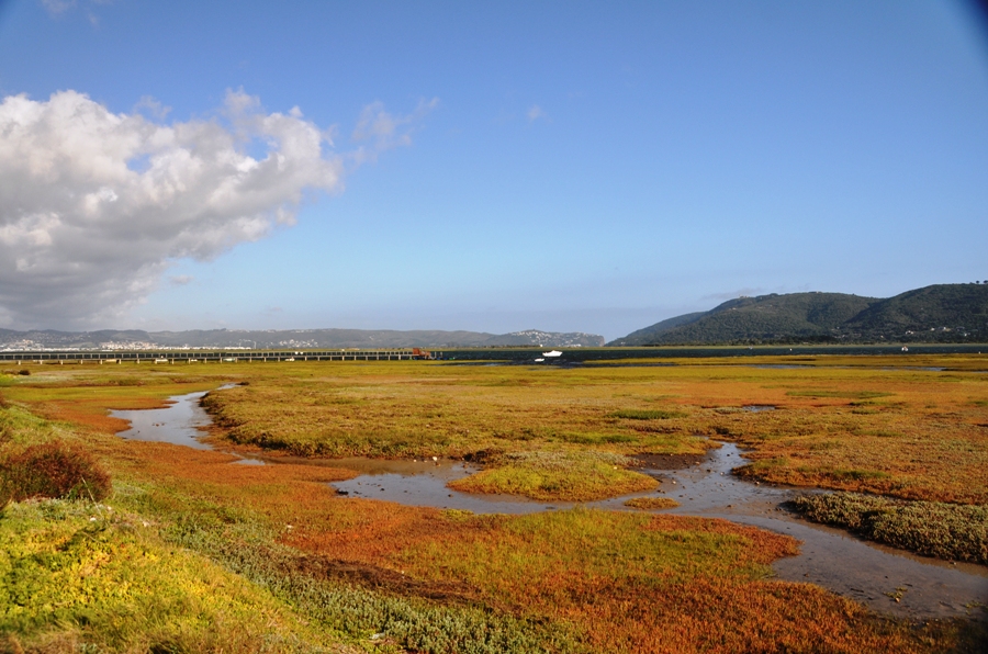 La laguna di Knysna