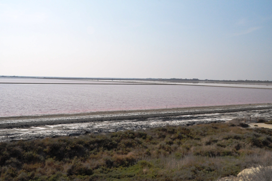 Le saline