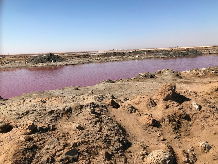 Cosa vedere a Walvis Bay