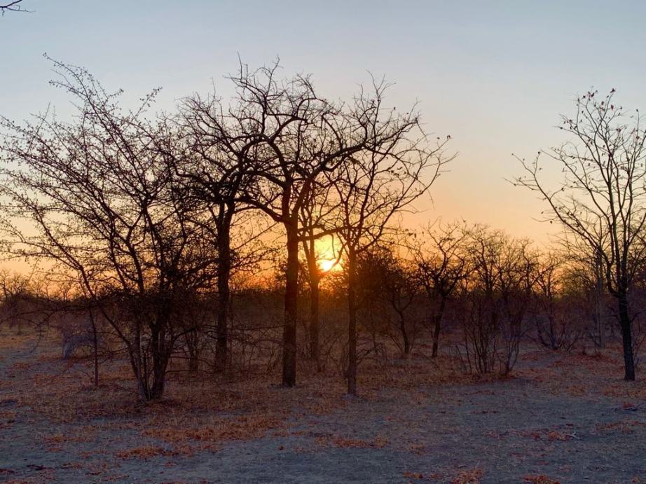 Uno splendido tramonto africano