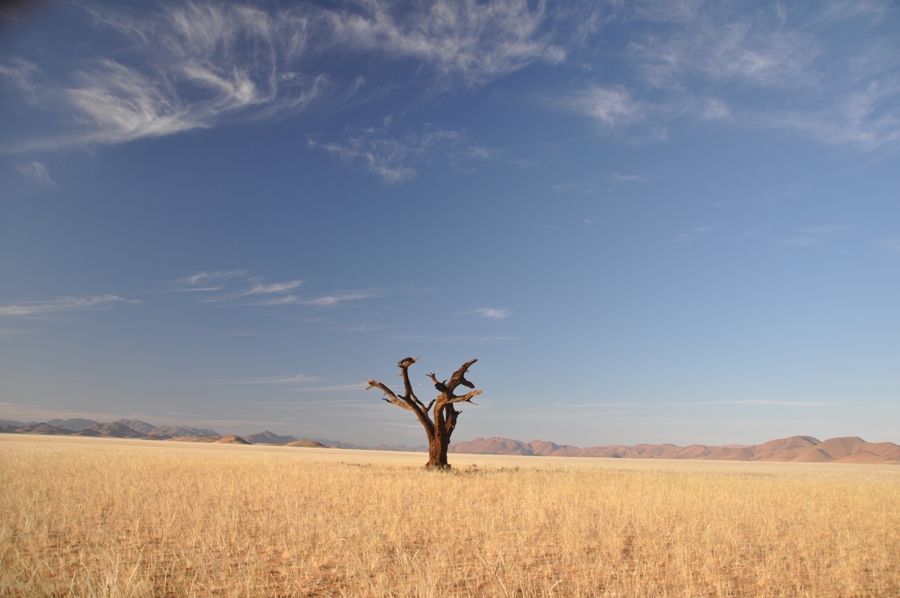 itinerario di viaggio fai da te in Namibia