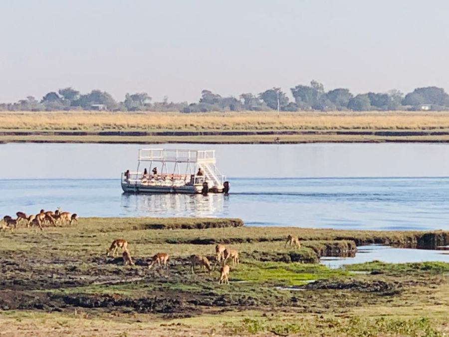 Safari nel Chobe National Park