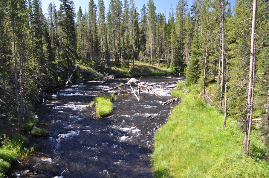 Fiume a Yellowstone