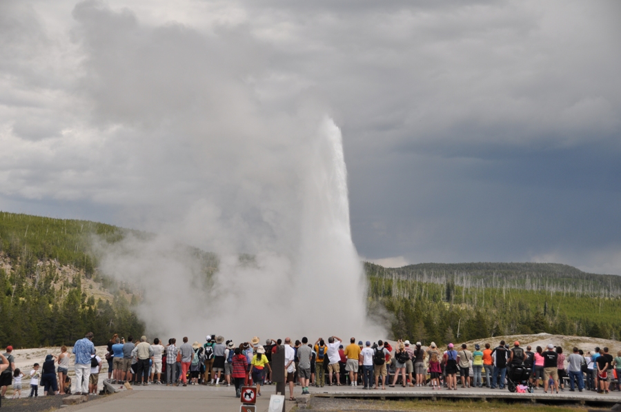 Visita allo Yellowstone National Park