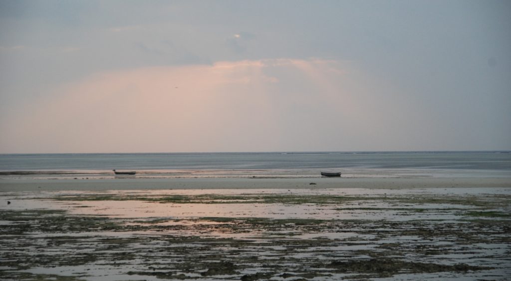 Spiagge di Watamu