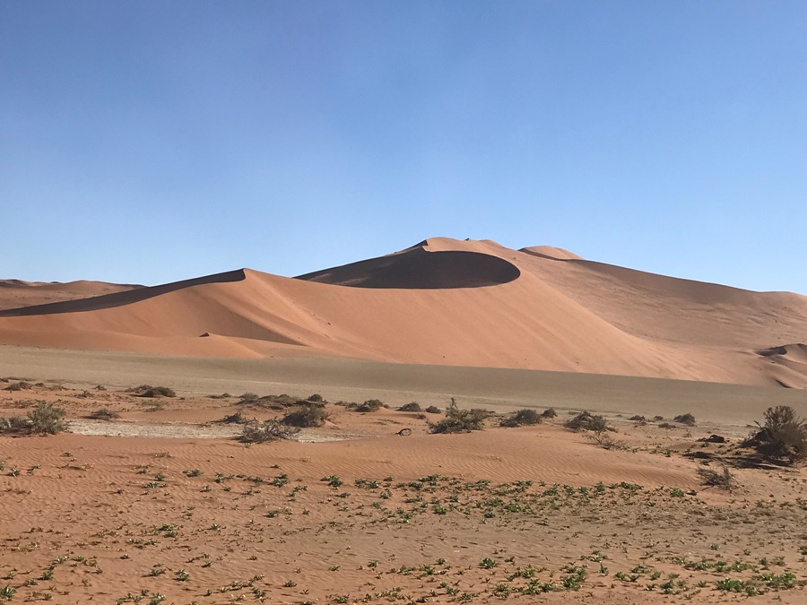 Dune rosse a Sossusvlei