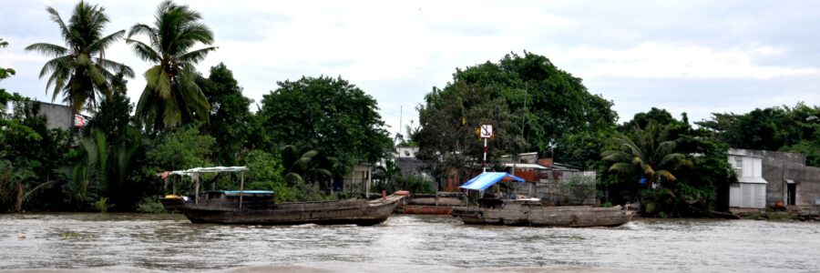 Delta del Mekong