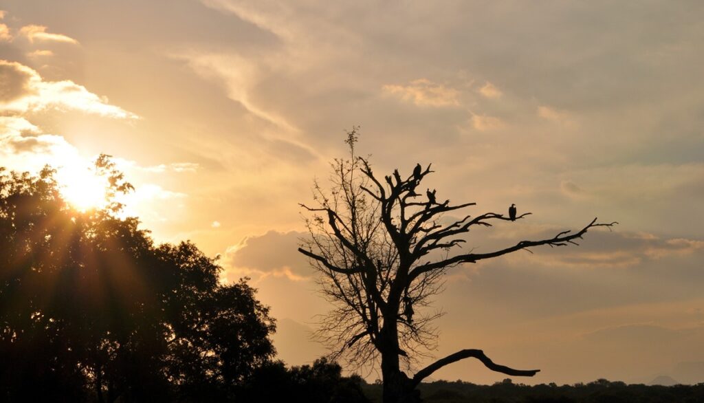 Tramonto nel Kruger National Park