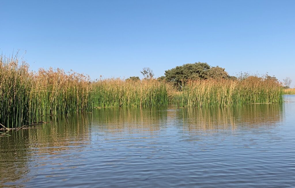  Canneto sull'Okavango 