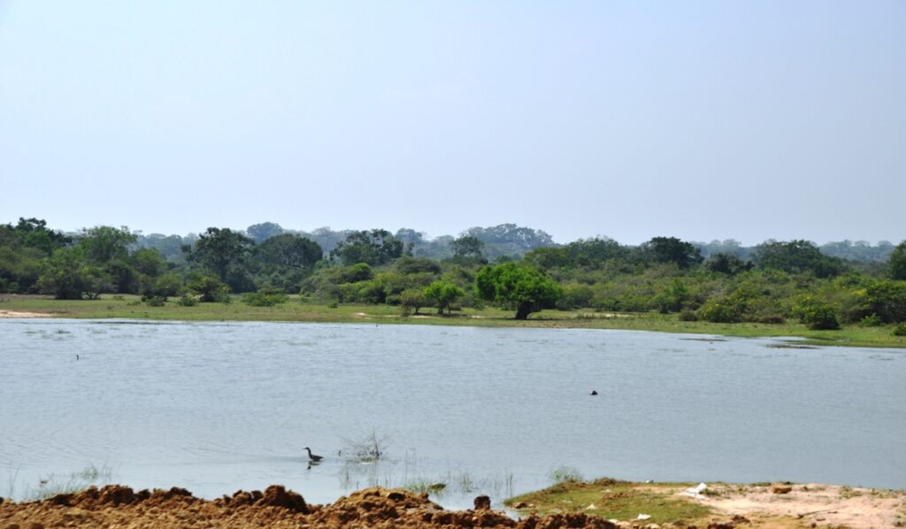 Lago nel Parco Nazionale di Yala