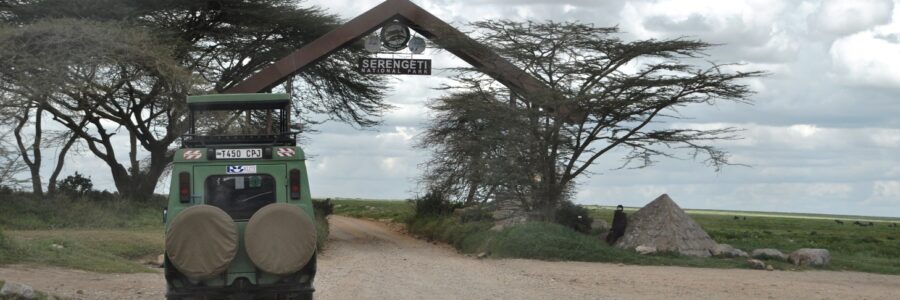 Parco Nazionale del Serengeti