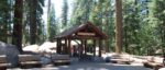 Parco Nazionale delle Sequoie