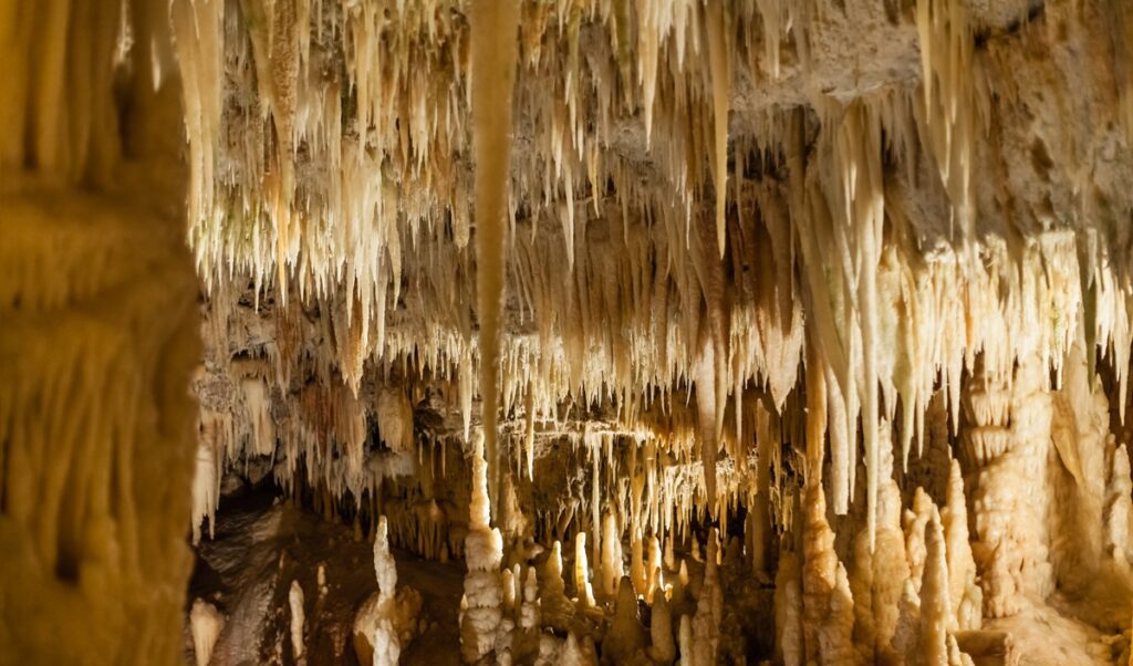 Concrezioni all'interno delle Grotte di Castellana