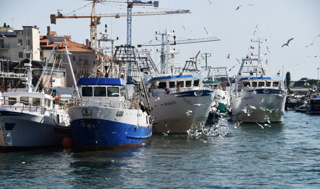 Pescherecci di Chioggia