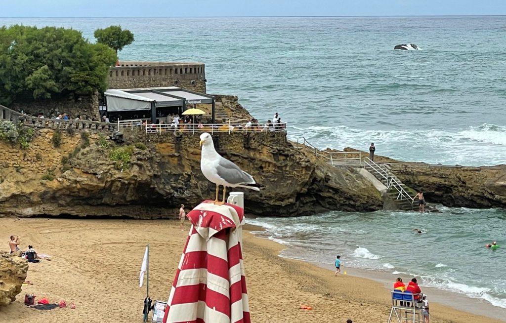 Cosa vedere a Biarritz