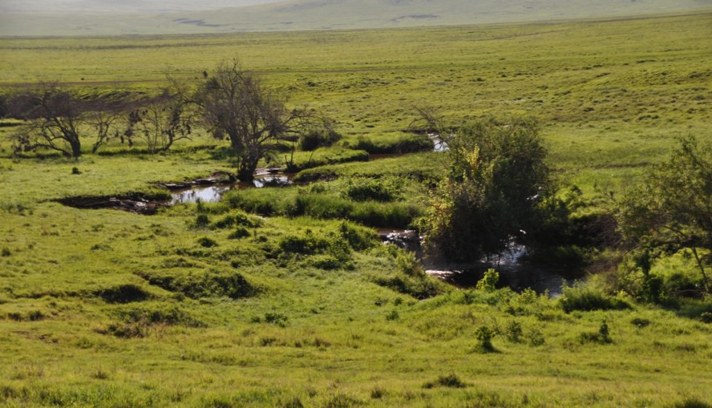 Cratere di Ngorongoro