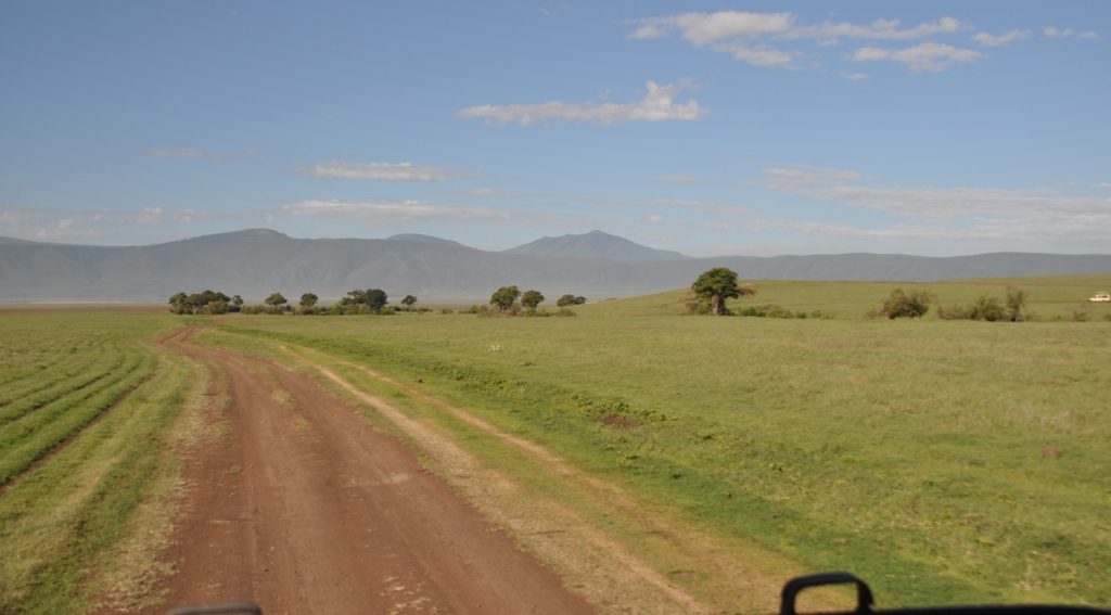 Cratere di Ngorongoro